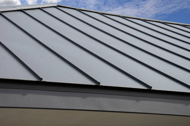 Best Sheet Metal Roofing  in Leesburg, GA